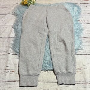 Aritzia TNA Fleece Grey Jogger Sweatpants sz S